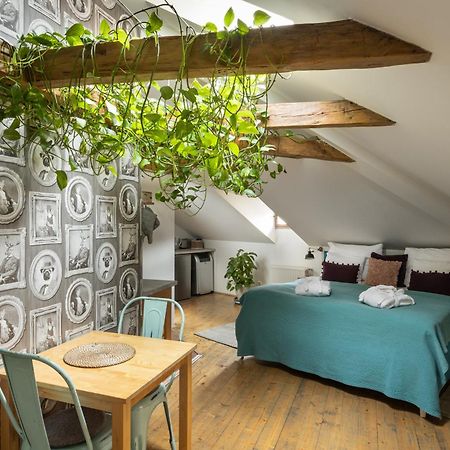 Bohemian Chic 2 Bedroom 2 Bathroom Loft With Hanging Chair Praga Zewnętrze zdjęcie